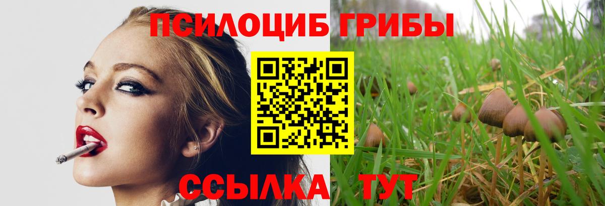 Псилоцибиновые грибы Psilocybine cubensis  Псилоцибиновые грибы GOLDEN TEACHER  Вход с VPN  Рославль 